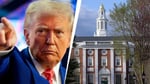 Harvard Loses Visa Sponsorship for International Students: 788 Indian Students Face Uncertain Future