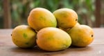 Japan Shuts Door On Indian Mangoes After Two Decades As Angry Exporters Cry Foul Over Market Monopoly