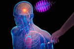 Brain Cells Stimulated by Scientists to Trigger Physical Movement in UC San Diego Study