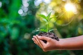 Armenia ahead in eco-frienldy practices to protect the environment