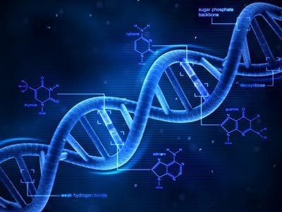Viral element in our genome.
