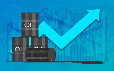 India – Vegetable Oil Imports Rises by 16% to 167.1 Lakh Tons in 2022-23
