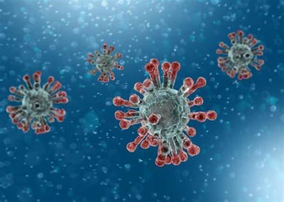 A New Study Reinforces the Natural Origin of COVID-19